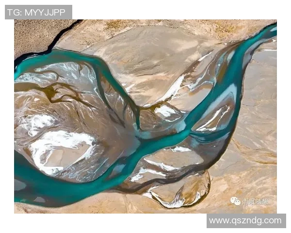 深圳攀岩队的进攻革新探索与实践全景解析