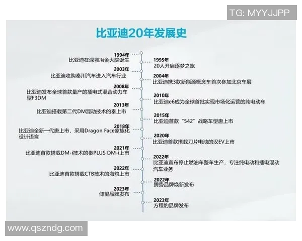 南京篮球队的崛起之路：从默默无闻到赛场辉煌的成长历程